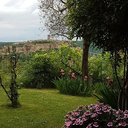 Casa Con Vista Mozzafiato Su Civita Di Bagnoregio Villa Lubriano Bagian luar foto